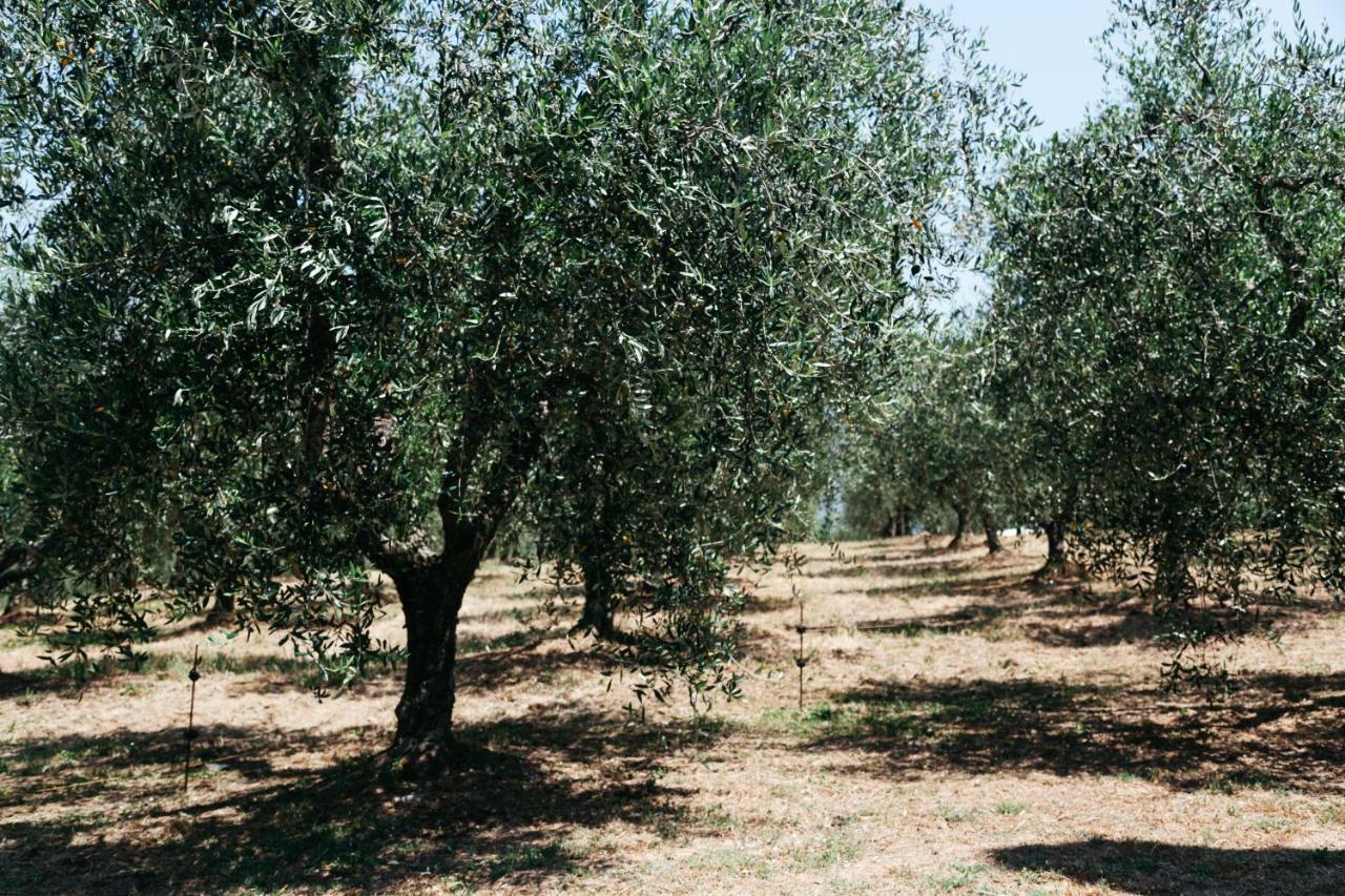 דירות Incisa in Val d'Arno Campopineta מראה חיצוני תמונה